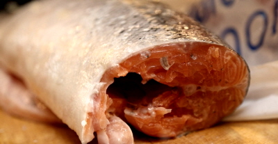 생연어 외형 상태 확인 모습