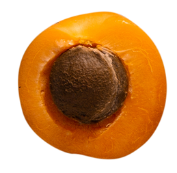 기침에 좋은 음식