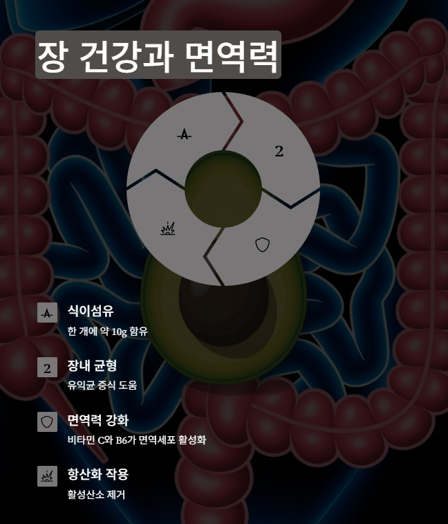장 건강과 면역강화