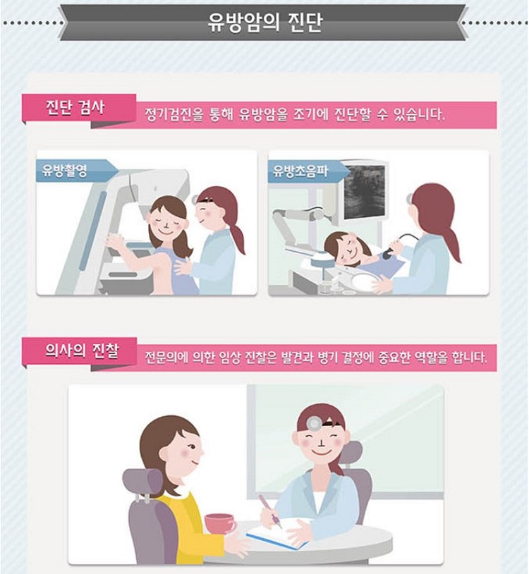 유방암 진단 과정을 보여주는 인포그래픽으로 유방촬영, 유방초음파 검사와 의사 진찰 과정을 시각화한 이미지