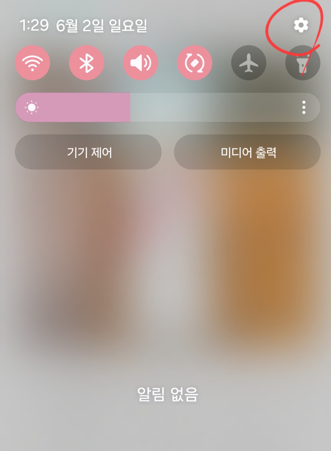알림, 재난
