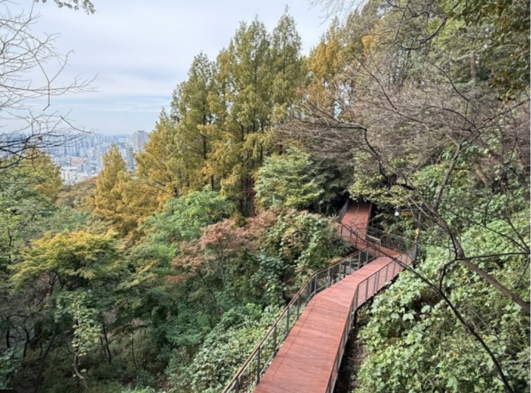 무장애길 전망대 갖춘 남산 하늘숲길 개방