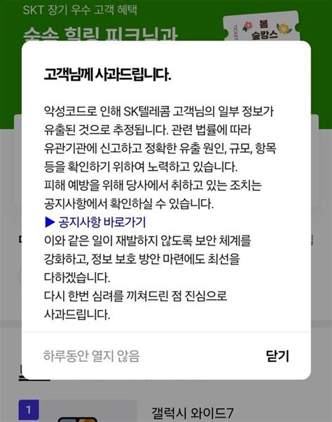 SKT 유심보호서비스