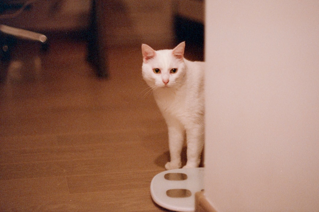Tenant.