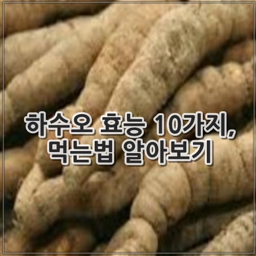 하수오 효능 10가지, 먹는법 알아보기