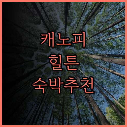 캐노피 바이 힐튼 토론토 요크빌에서의