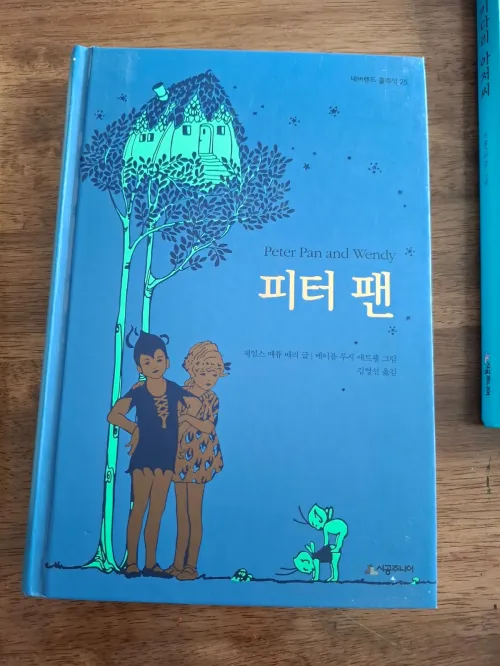 시간이 멈춘 낙원 네버랜드에서 모험을 즐기지만 과거를 망각해가는 피터 팬 (Peter Pan enjoying adventure in Neverland, a paradise where time stands still, but forgetting the past)