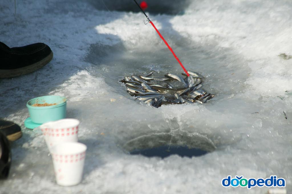 안성 동막골 빙어축제