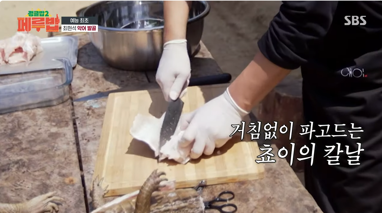 악어 발골 해체