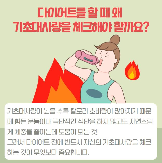 기초대사량 계산기