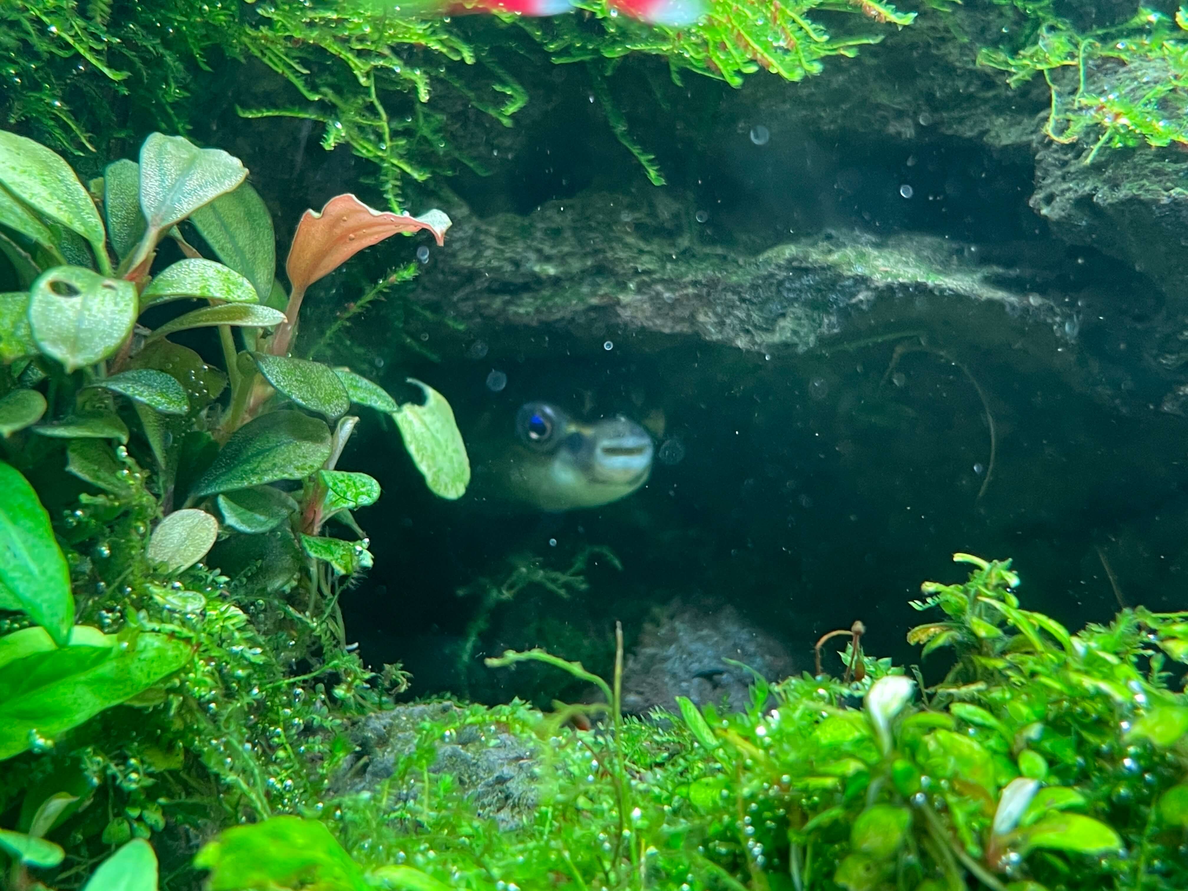 잠심-아쿠아가든