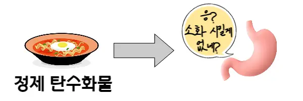 정제-탄수화물-소화-그림