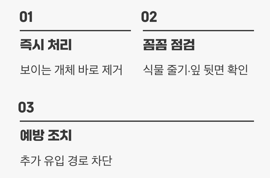 눈에 보일 때가 바로 골든타임