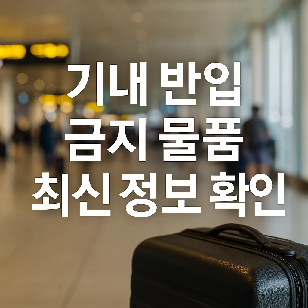 기내 반입 금지 물품 썸네일