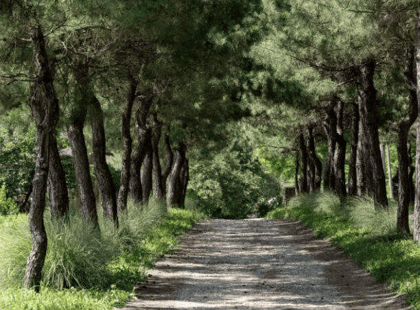 논산 컬러워크 여행