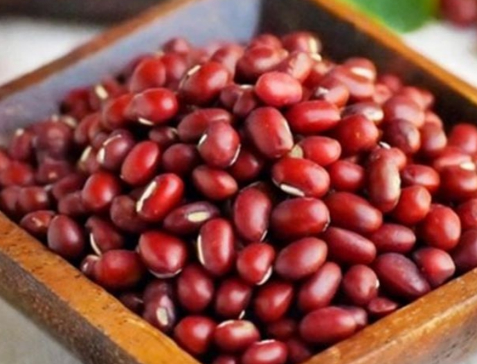 한국의 떡 종류 당콩떡-팥