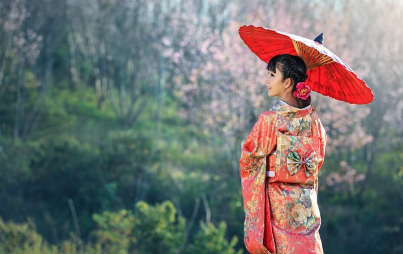 해외 벚꽃 여행지 추천 – 일본, 대만, 워싱턴 D.C. 명소