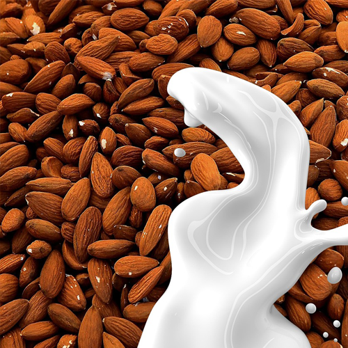 아몬드 효능과 섭취량&amp;#44; 부작용