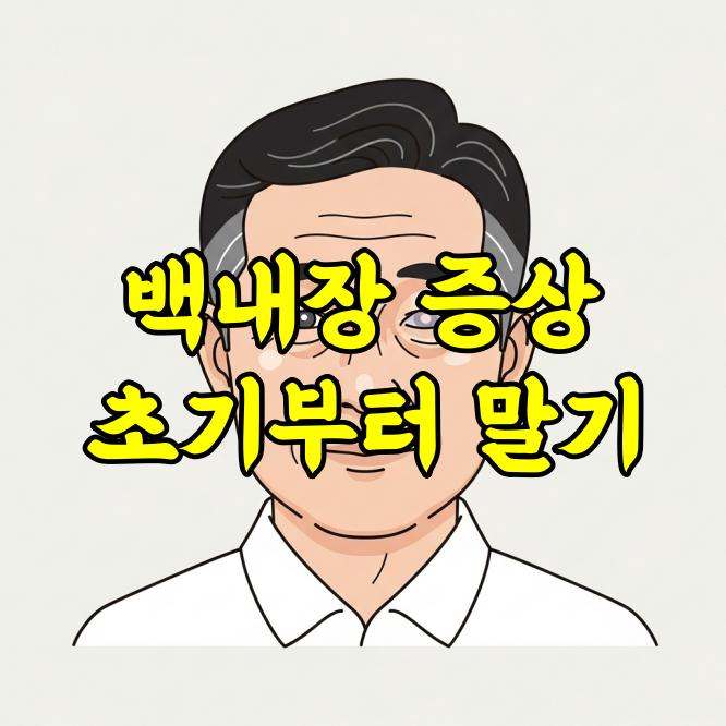 백내장 증상 초기부터 말기까지 정리 &ndash; 놓치기 쉬운 변화 체크하기
