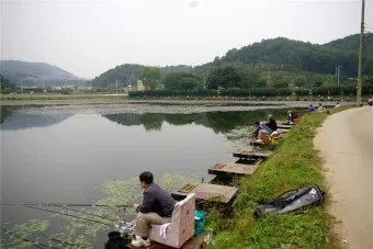 낚시터 예약제 운영 충북 충남 저수지 붕어터 안내_6