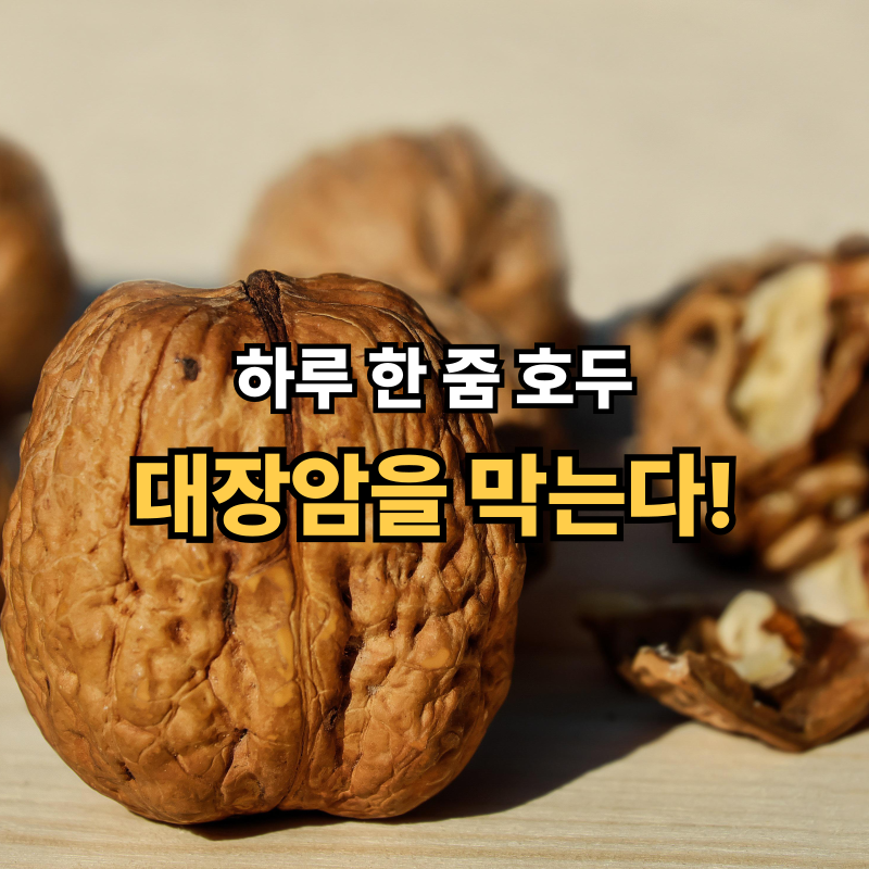 하루 한 줌 호두, 대장암 예방까지? 호두 효능·부작용 총정리