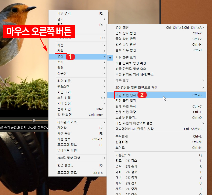 곰플레이어 고급 화면 캡처