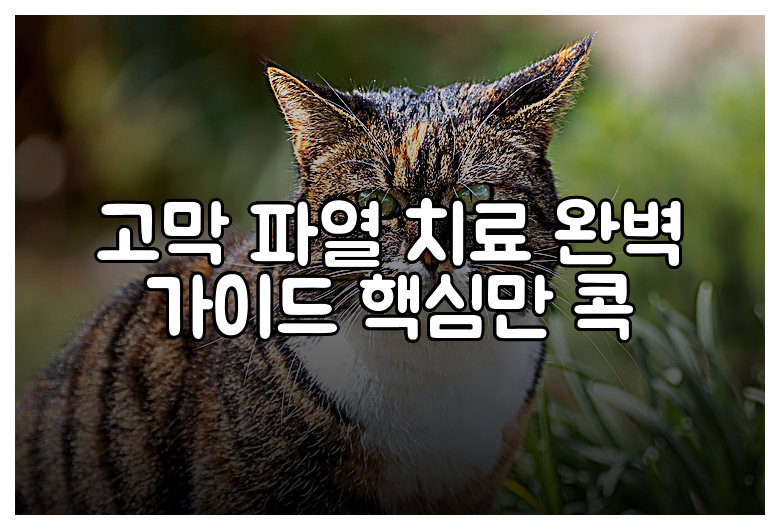 고막 파열 치료 완벽 가이드 핵심만 콕