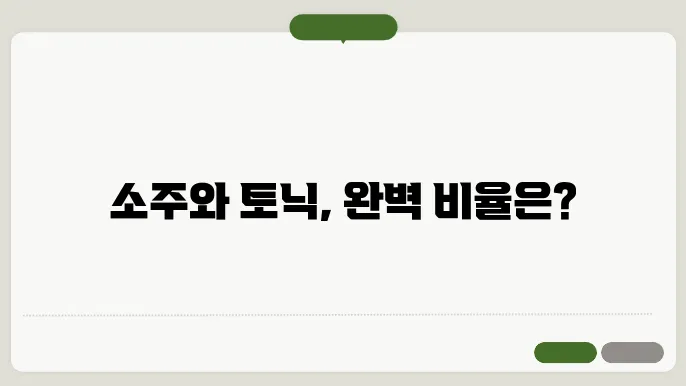 소주와 토닉워터 조합 비율 표