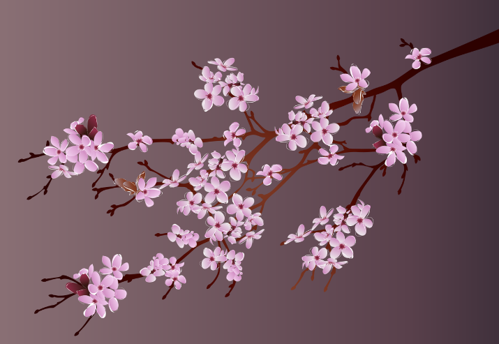 벚꽃 관광지 관련 사진