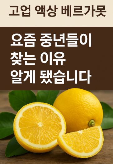 베르가못