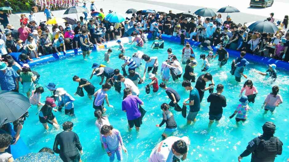 홍성남당항 대하축제