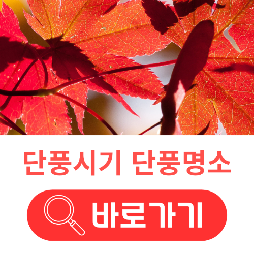 단풍명소 사이트 바로가기