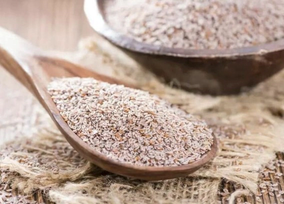 차전자피 효능 부작용