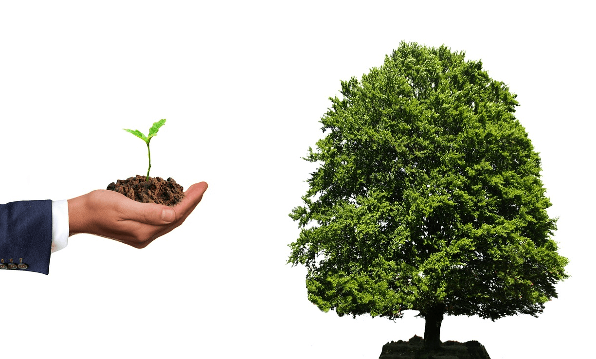 검정 양복을 입은 남자 손바닥에 흙과 그 속에서 자라는 작은 새싹이 있다. 오른쪽엔 푸르고 무성한 잎이 있는 큰 나무가 있다.