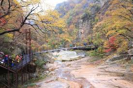 오색약수 설악산 단풍