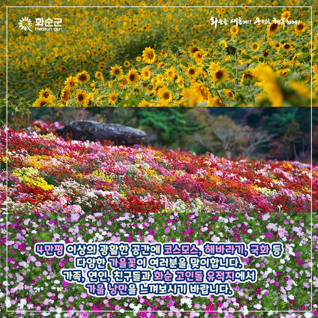 2024 화순 고인돌 가을꽃 축제 프로그램