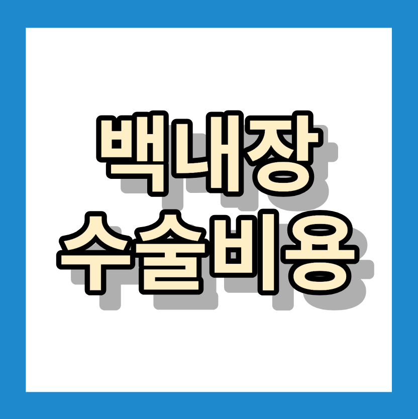 &lt; 백내장 수술비용 &gt;