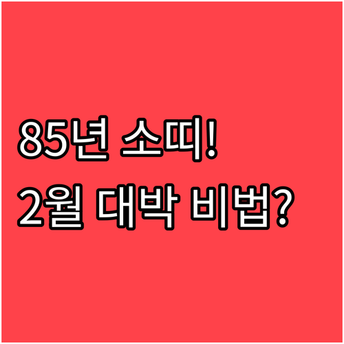 1985년생 소띠 2월 건강과 대인관..
