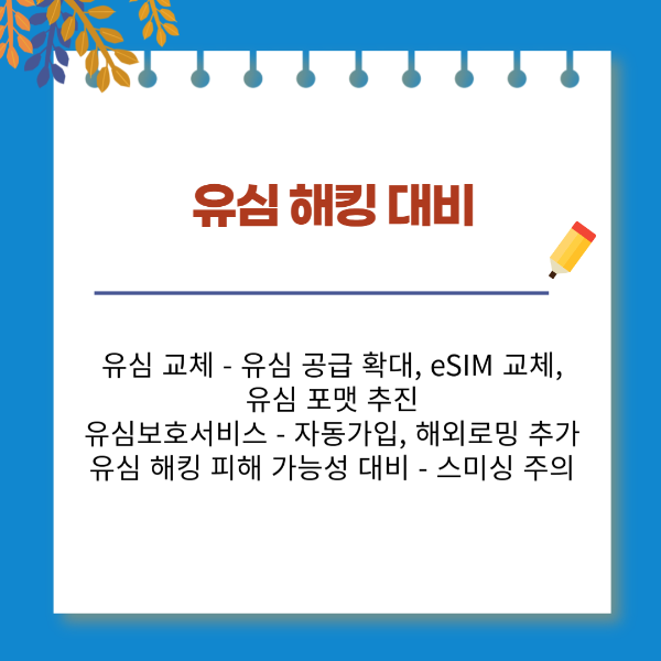 유심 해킹