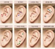 귀 혈자리 위치 지압법