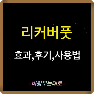 리커버풋 내돈내산 후기