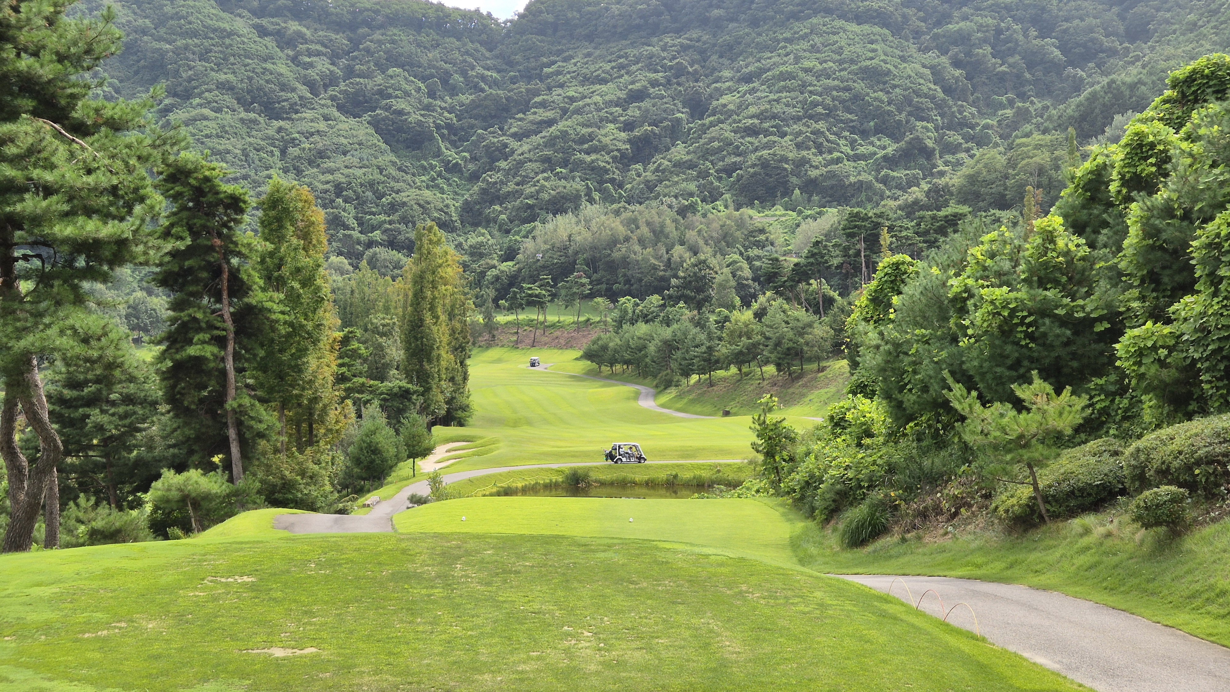 세일cc 들길-산길 코스 사진 및 공략 정보
