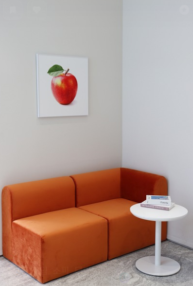 작은 집에서 미니멀리스트 인테리어를 완성하는 비법