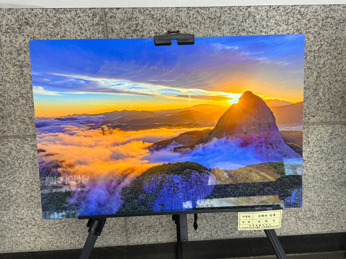 전국사진 전시회