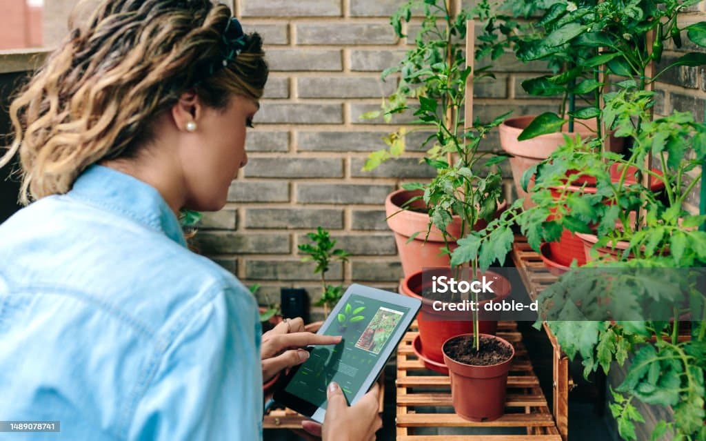스마트 가드닝이란? 자동화 기술로 식물을 키우는 미래형 가드닝 가이드