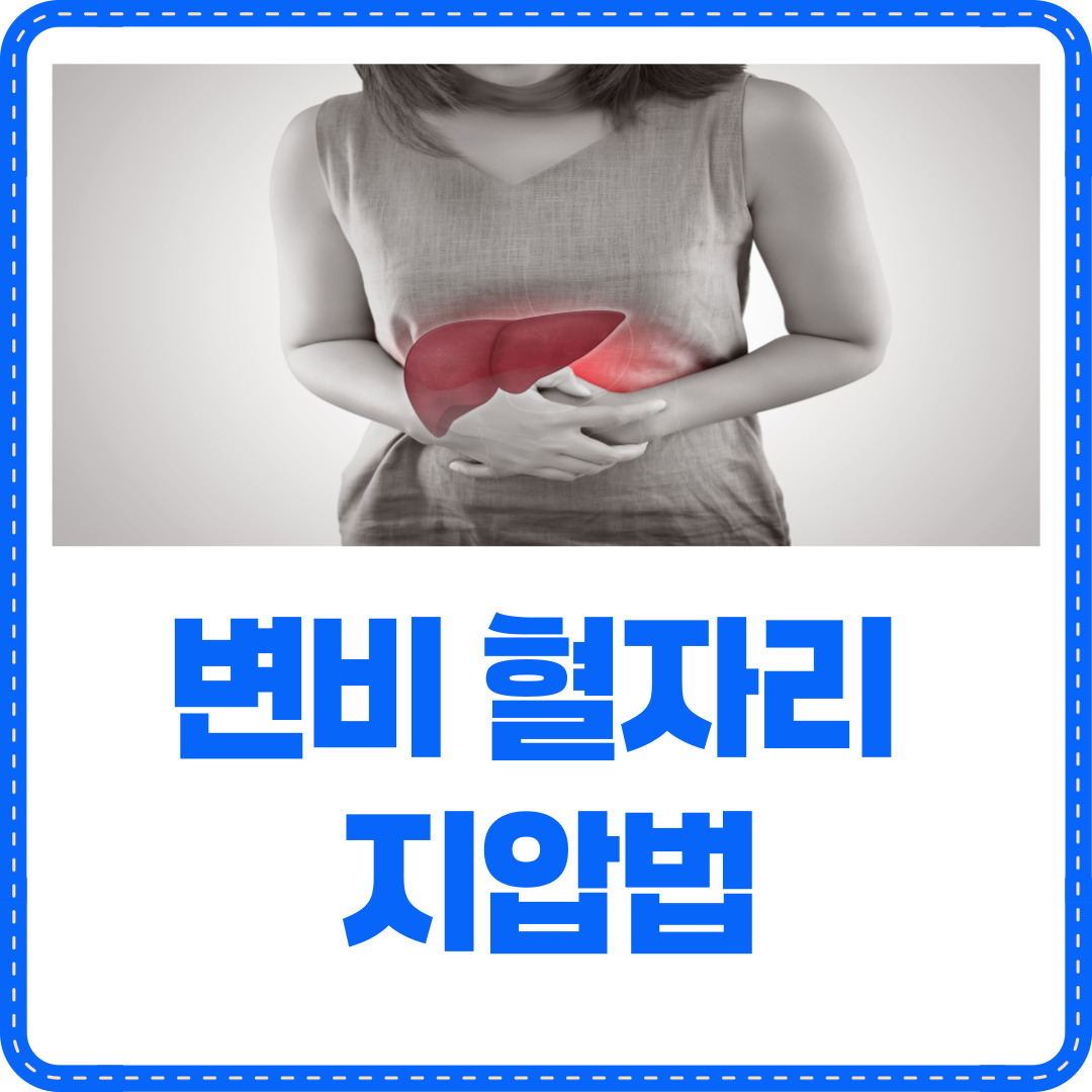 변지 혈자리