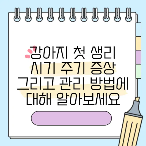 강아지 첫 생리 시기 주기 증상 그리고 관리 방법에 대해 알아보세요