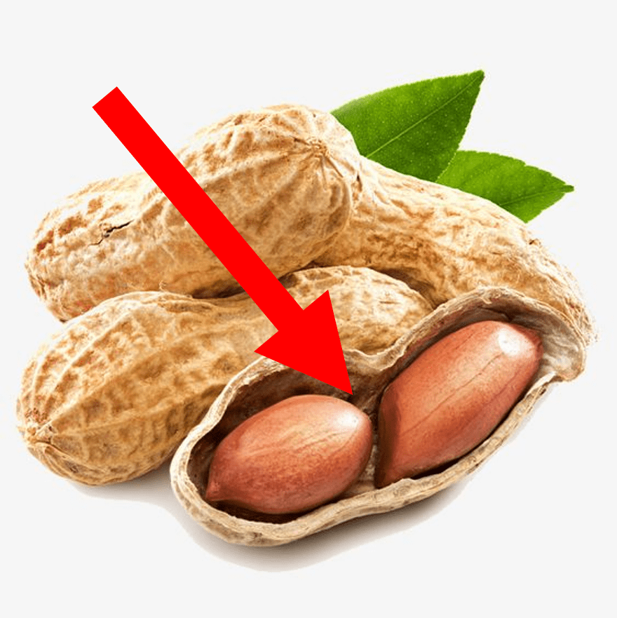 코믹 소설을 쓰는 것