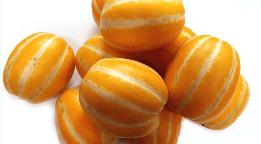 참외 효능에 참외 사진과 그 밖에 사진들 - 8