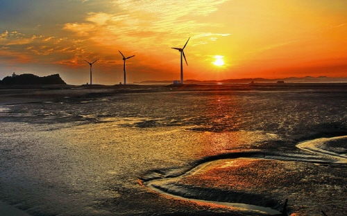 경기도 안산 여행지 추천 갈만한곳 - 탄도 바닷길